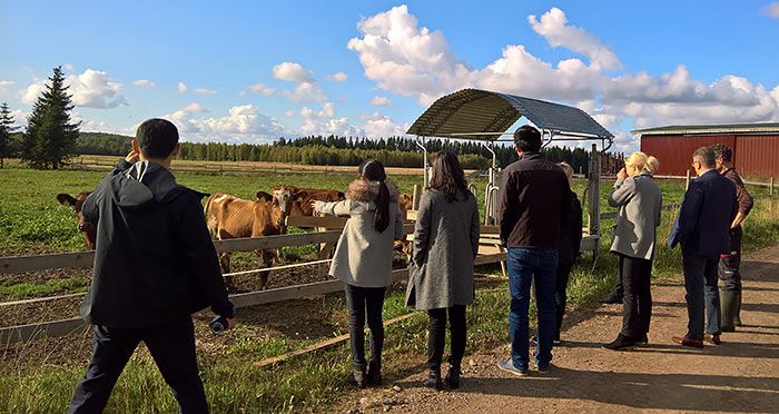 Visitors at a Valio dairy farm