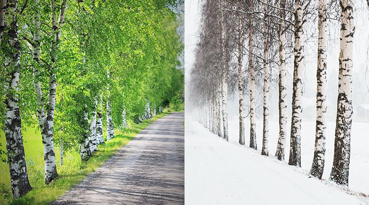 Warm summers and cold winters radically reduce the need for pesticides